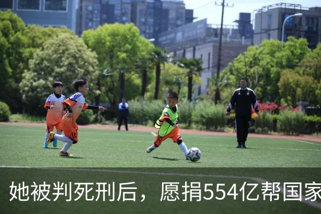 她被判死刑后，愿捐554亿帮国家赚钱，只求饶自己一命，结果如何