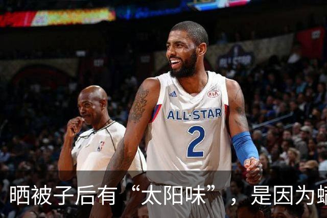 晒被子后有“太阳味”，是因为螨虫被烤焦了？科学家：太阳的功劳