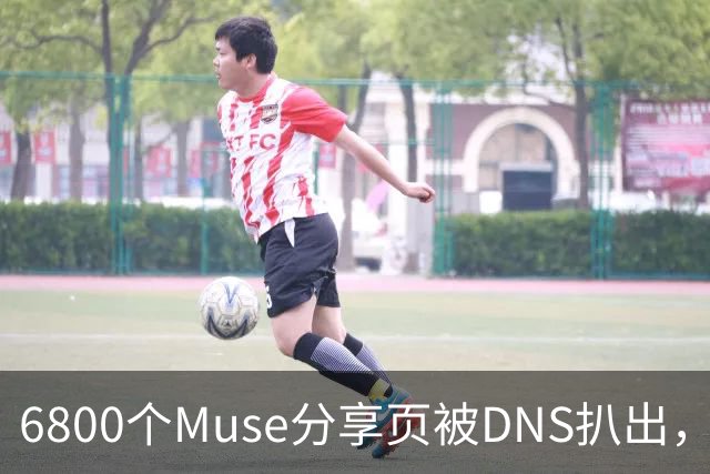 6800个Muse分享页被DNS扒出，Meta紧急暂停